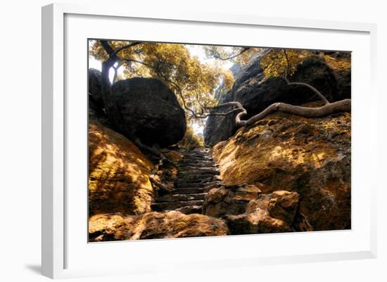 China 10MKm2 Collection - Forest ray of light-Philippe Hugonnard-Framed Photographic Print