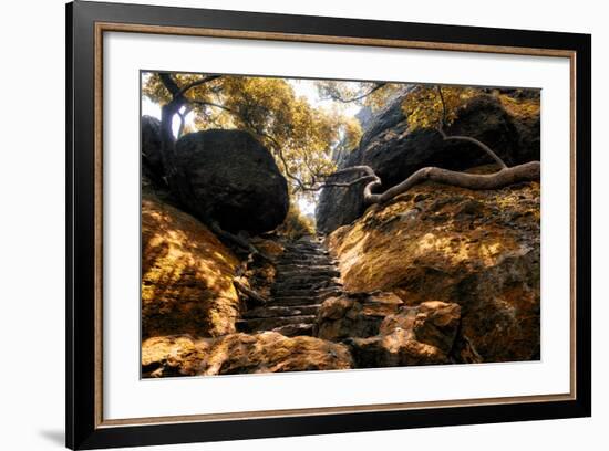 China 10MKm2 Collection - Forest ray of light-Philippe Hugonnard-Framed Photographic Print