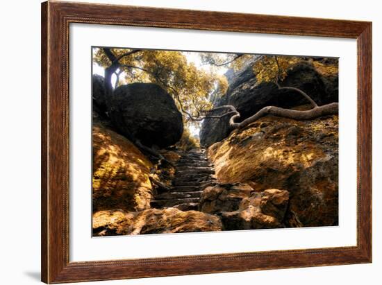 China 10MKm2 Collection - Forest ray of light-Philippe Hugonnard-Framed Photographic Print