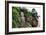 China 10MKm2 Collection - Giant Buddha of Leshan-Philippe Hugonnard-Framed Photographic Print