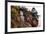 China 10MKm2 Collection - Giant Buddha of Leshan-Philippe Hugonnard-Framed Photographic Print