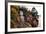 China 10MKm2 Collection - Giant Buddha of Leshan-Philippe Hugonnard-Framed Photographic Print