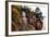 China 10MKm2 Collection - Giant Buddha of Leshan-Philippe Hugonnard-Framed Photographic Print