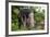 China 10MKm2 Collection - Giant Buddha of Leshan-Philippe Hugonnard-Framed Photographic Print