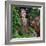 China 10MKm2 Collection - Giant Buddha of Leshan-Philippe Hugonnard-Framed Photographic Print