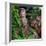 China 10MKm2 Collection - Giant Buddha of Leshan-Philippe Hugonnard-Framed Photographic Print