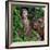 China 10MKm2 Collection - Giant Buddha of Leshan-Philippe Hugonnard-Framed Photographic Print