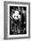 China 10MKm2 Collection - Giant Panda Baby-Philippe Hugonnard-Framed Photographic Print