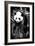 China 10MKm2 Collection - Giant Panda Baby-Philippe Hugonnard-Framed Photographic Print