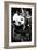 China 10MKm2 Collection - Giant Panda Baby-Philippe Hugonnard-Framed Photographic Print