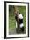 China 10MKm2 Collection - Giant Panda Baby-Philippe Hugonnard-Framed Photographic Print