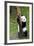 China 10MKm2 Collection - Giant Panda Baby-Philippe Hugonnard-Framed Photographic Print