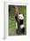 China 10MKm2 Collection - Giant Panda Baby-Philippe Hugonnard-Framed Photographic Print