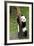 China 10MKm2 Collection - Giant Panda Baby-Philippe Hugonnard-Framed Photographic Print