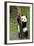 China 10MKm2 Collection - Giant Panda Baby-Philippe Hugonnard-Framed Photographic Print