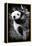 China 10MKm2 Collection - Giant Panda Baby-Philippe Hugonnard-Framed Premier Image Canvas