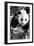 China 10MKm2 Collection - Giant Panda Baby-Philippe Hugonnard-Framed Photographic Print