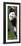 China 10MKm2 Collection - Giant Panda Baby-Philippe Hugonnard-Framed Photographic Print