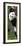 China 10MKm2 Collection - Giant Panda Baby-Philippe Hugonnard-Framed Photographic Print