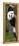 China 10MKm2 Collection - Giant Panda Baby-Philippe Hugonnard-Framed Premier Image Canvas