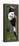 China 10MKm2 Collection - Giant Panda Baby-Philippe Hugonnard-Framed Premier Image Canvas