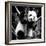 China 10MKm2 Collection - Giant Panda Baby-Philippe Hugonnard-Framed Photographic Print