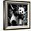 China 10MKm2 Collection - Giant Panda Baby-Philippe Hugonnard-Framed Photographic Print