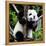 China 10MKm2 Collection - Giant Panda Baby-Philippe Hugonnard-Framed Premier Image Canvas