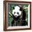 China 10MKm2 Collection - Giant Panda Baby-Philippe Hugonnard-Framed Photographic Print