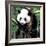 China 10MKm2 Collection - Giant Panda Baby-Philippe Hugonnard-Framed Photographic Print