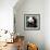 China 10MKm2 Collection - Giant Panda Baby-Philippe Hugonnard-Framed Photographic Print displayed on a wall