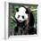 China 10MKm2 Collection - Giant Panda Baby-Philippe Hugonnard-Framed Photographic Print