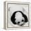 China 10MKm2 Collection - Giant Panda Baby-Philippe Hugonnard-Framed Premier Image Canvas