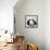 China 10MKm2 Collection - Giant Panda Baby-Philippe Hugonnard-Framed Premier Image Canvas displayed on a wall