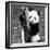 China 10MKm2 Collection - Giant Panda Baby-Philippe Hugonnard-Framed Photographic Print