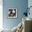 China 10MKm2 Collection - Giant Panda Baby-Philippe Hugonnard-Framed Photographic Print displayed on a wall