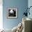 China 10MKm2 Collection - Giant Panda Baby-Philippe Hugonnard-Framed Photographic Print displayed on a wall