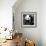 China 10MKm2 Collection - Giant Panda Baby-Philippe Hugonnard-Framed Photographic Print displayed on a wall