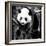 China 10MKm2 Collection - Giant Panda Baby-Philippe Hugonnard-Framed Photographic Print