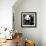 China 10MKm2 Collection - Giant Panda Baby-Philippe Hugonnard-Framed Photographic Print displayed on a wall