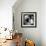 China 10MKm2 Collection - Giant Panda Baby-Philippe Hugonnard-Framed Photographic Print displayed on a wall