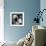 China 10MKm2 Collection - Giant Panda Baby-Philippe Hugonnard-Framed Photographic Print displayed on a wall