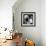 China 10MKm2 Collection - Giant Panda Baby-Philippe Hugonnard-Framed Photographic Print displayed on a wall