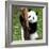 China 10MKm2 Collection - Giant Panda Baby-Philippe Hugonnard-Framed Photographic Print