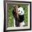 China 10MKm2 Collection - Giant Panda Baby-Philippe Hugonnard-Framed Photographic Print