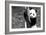 China 10MKm2 Collection - Giant Panda Baby-Philippe Hugonnard-Framed Photographic Print