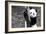 China 10MKm2 Collection - Giant Panda Baby-Philippe Hugonnard-Framed Photographic Print