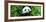 China 10MKm2 Collection - Giant Panda-Philippe Hugonnard-Framed Photographic Print