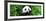 China 10MKm2 Collection - Giant Panda-Philippe Hugonnard-Framed Photographic Print