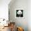 China 10MKm2 Collection - Giant Panda-Philippe Hugonnard-Framed Photographic Print displayed on a wall